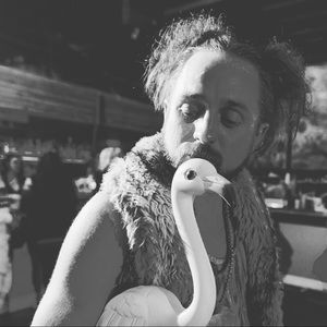 Meet your Posher, Brady